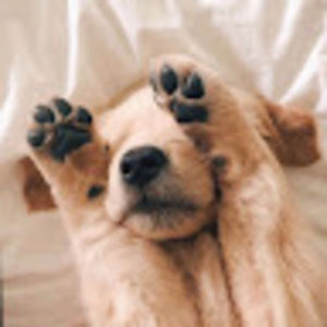 Meet your Posher, Mia miller